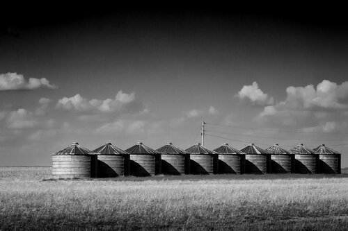 Ten of a Kind di Joel Dyer, Fotografia in vendita su Singulart