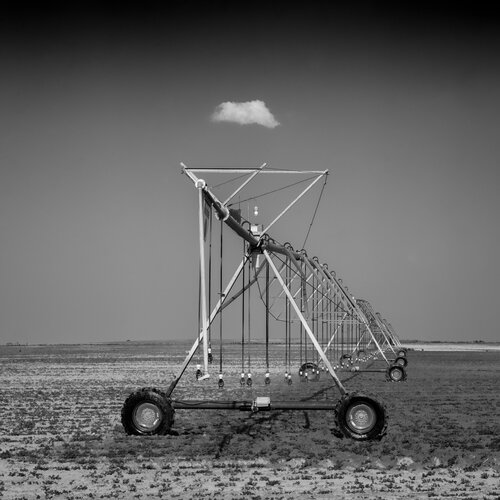 Climate Change Rain di Joel Dyer, Fotografia in vendita su Singulart