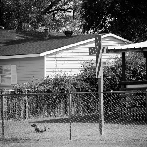 Birth of a Cult van Joel Dyer, Fotografie te koop op Singulart