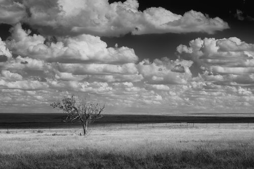 Just Hanging on par Joel Dyer, Photographie en vente sur Singulart
