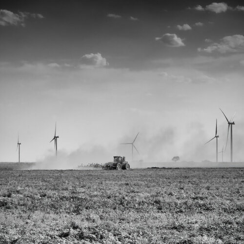 Wind, the New Drought Crop van Joel Dyer, Fotografie te koop op Singulart