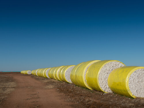 Cotton Bales Study 6 Joel Dyer