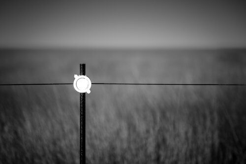 Hot Wire di Joel Dyer, Fotografia in vendita su Singulart