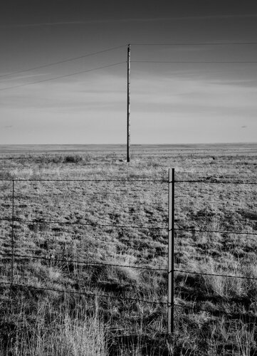 Post and Pole van Joel Dyer, Fotografie te koop op Singulart