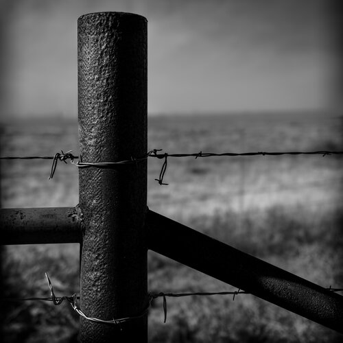 Iron and Wire di Joel Dyer, Fotografia in vendita su Singulart