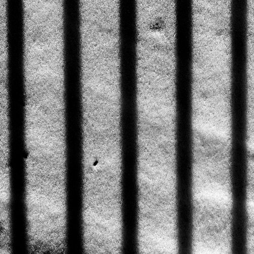 ICE behind bars van Joel Dyer, Fotografie te koop op Singulart