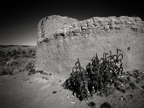 Abiquiu Cholla and Adobe von Joel Dyer, Fotografie kaufen auf Singulart