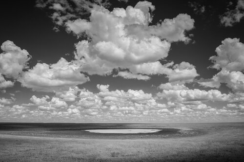 End of the Water Hole de Joel Dyer, Fotografía a la venta en Singulart