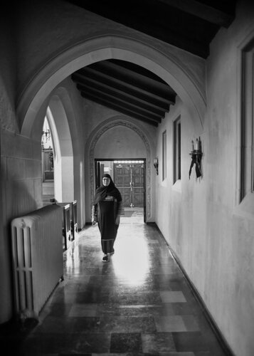 Saheeda Pacing the Cage de Joel Dyer, Fotografía a la venta en Singulart
