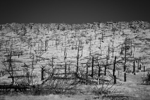 Aftermath di Joel Dyer, Fotografia in vendita su Singulart