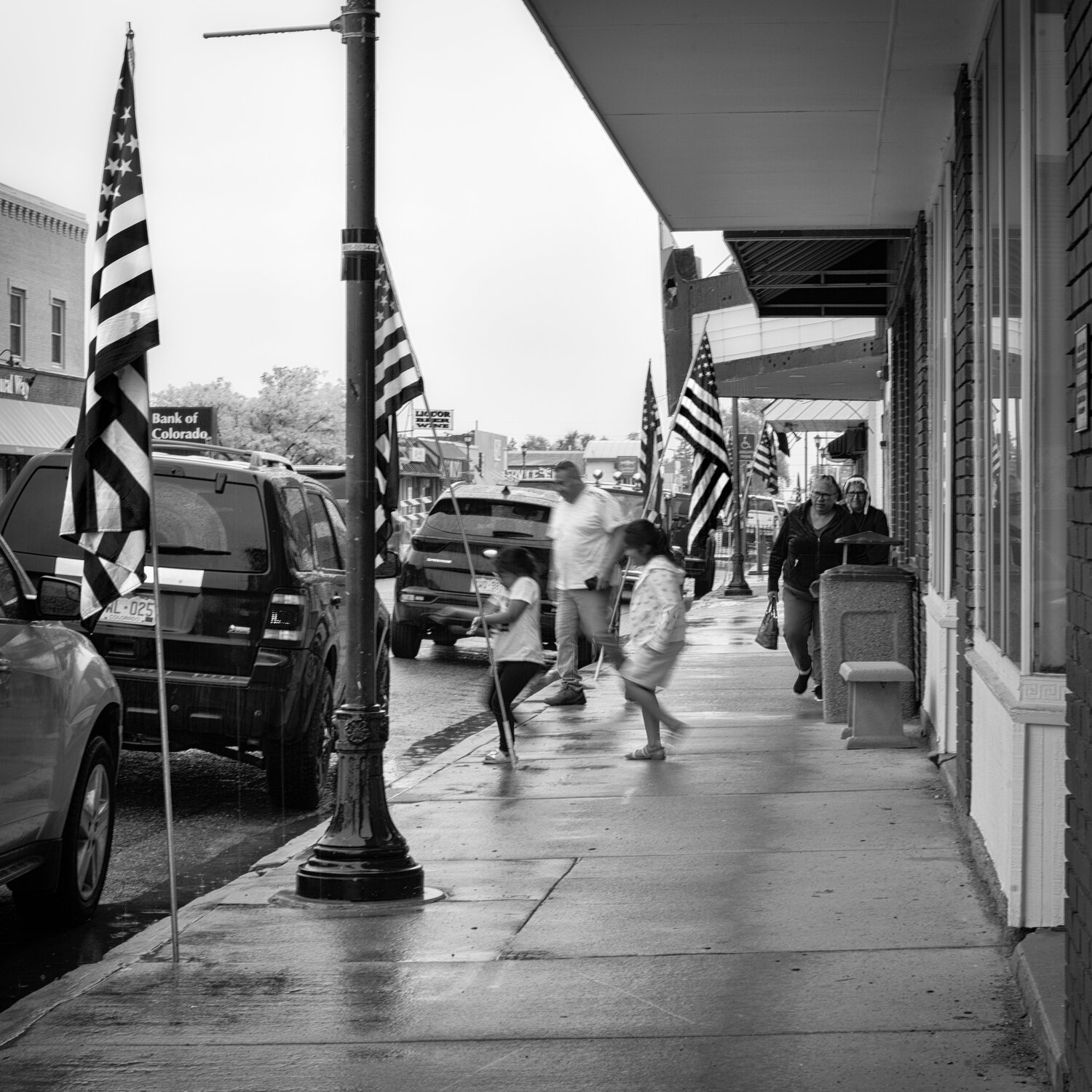 Weaponized Patriotism Joel Dyer