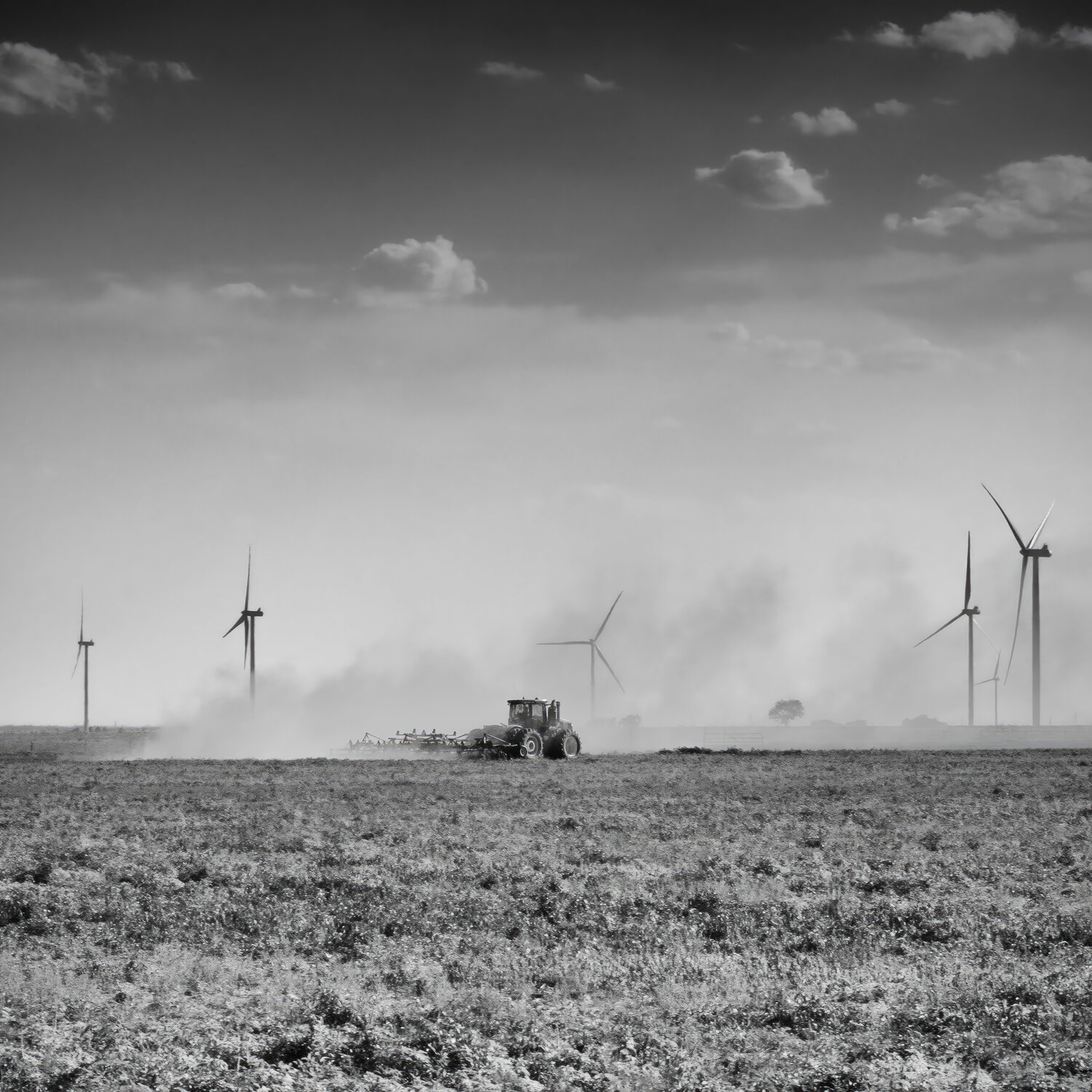 Wind, the New Drought Crop Joel Dyer