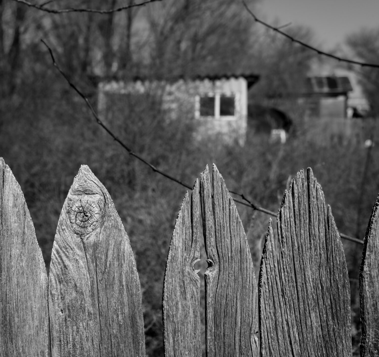Weathered Sentry Joel Dyer
