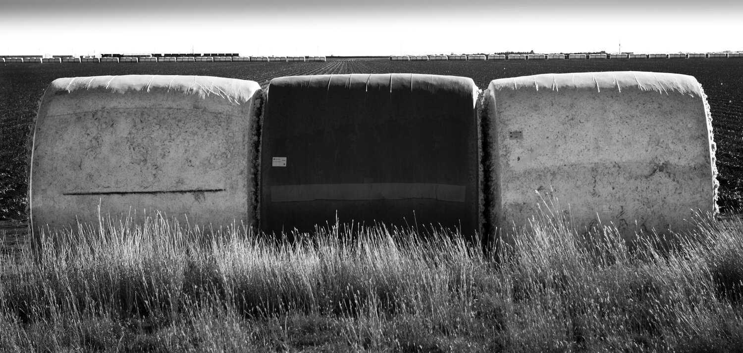 Cotton Bales Study 2 Joel Dyer