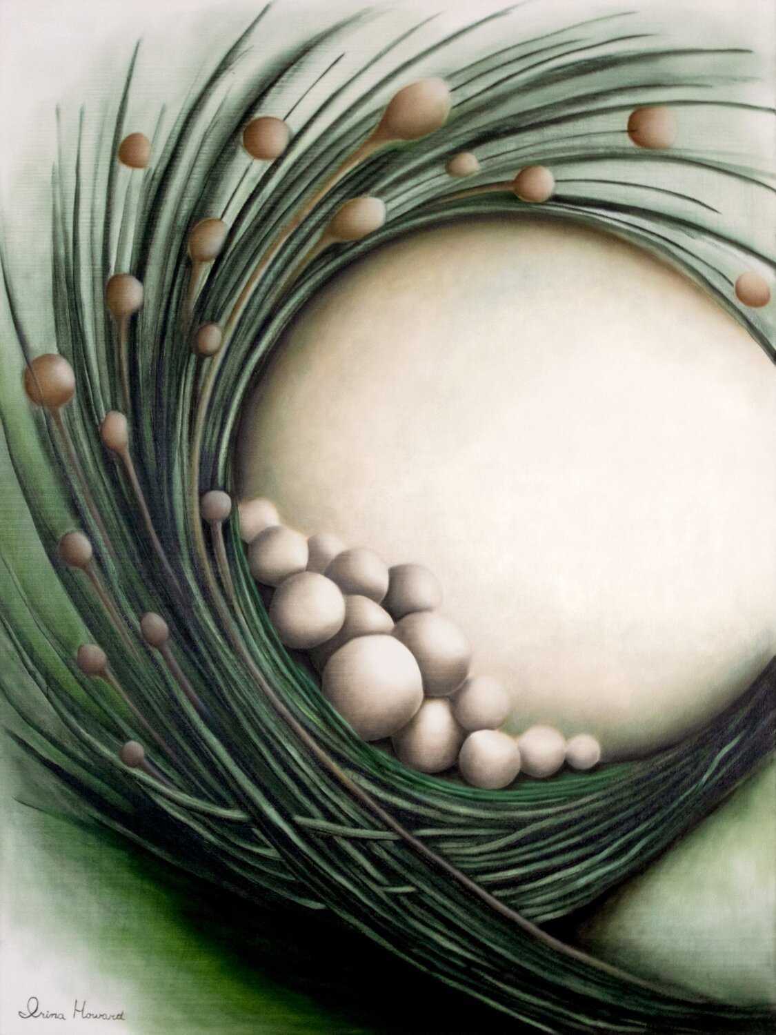 Compassion Irina Howard