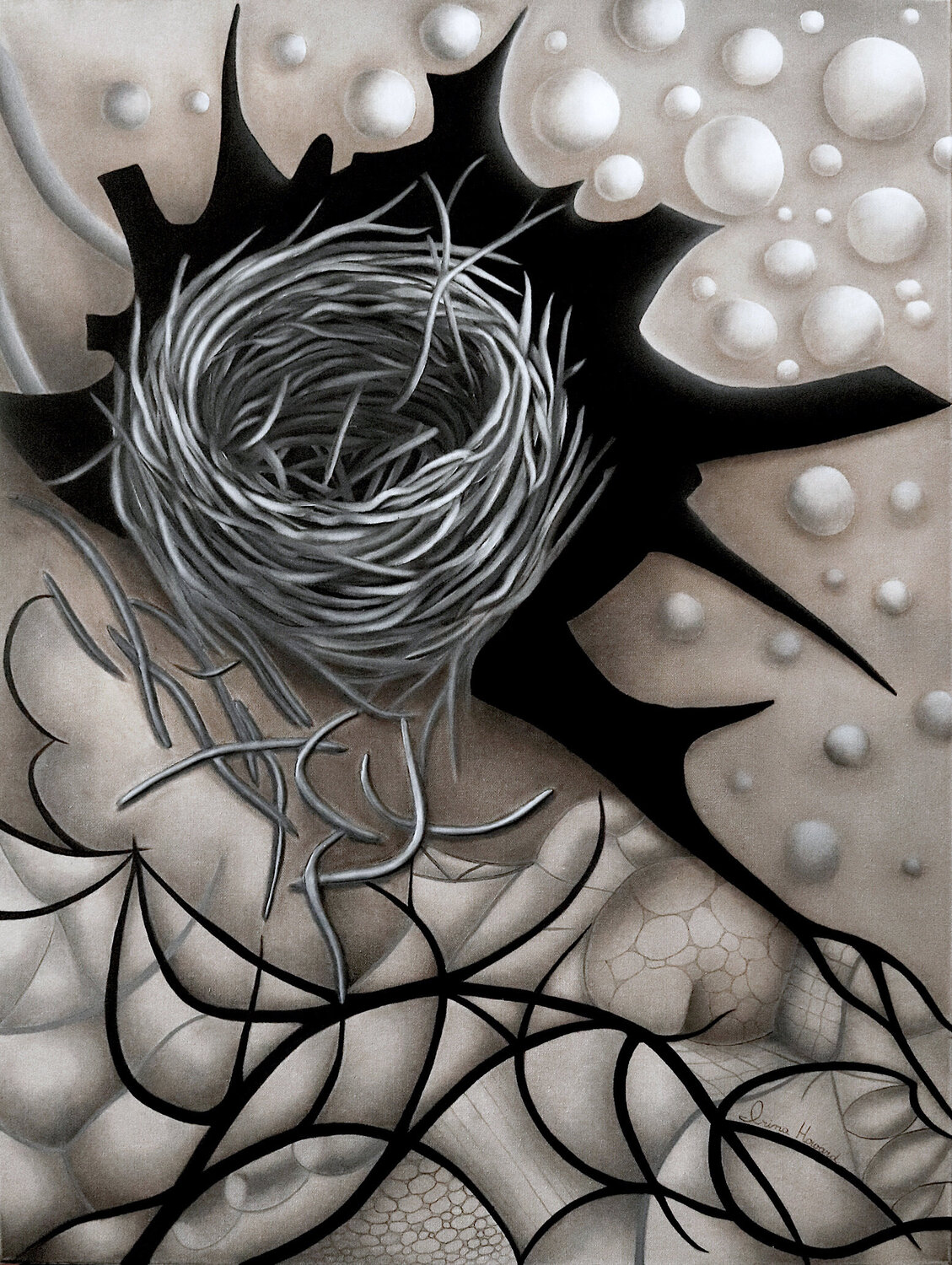 Homelessness Irina Howard