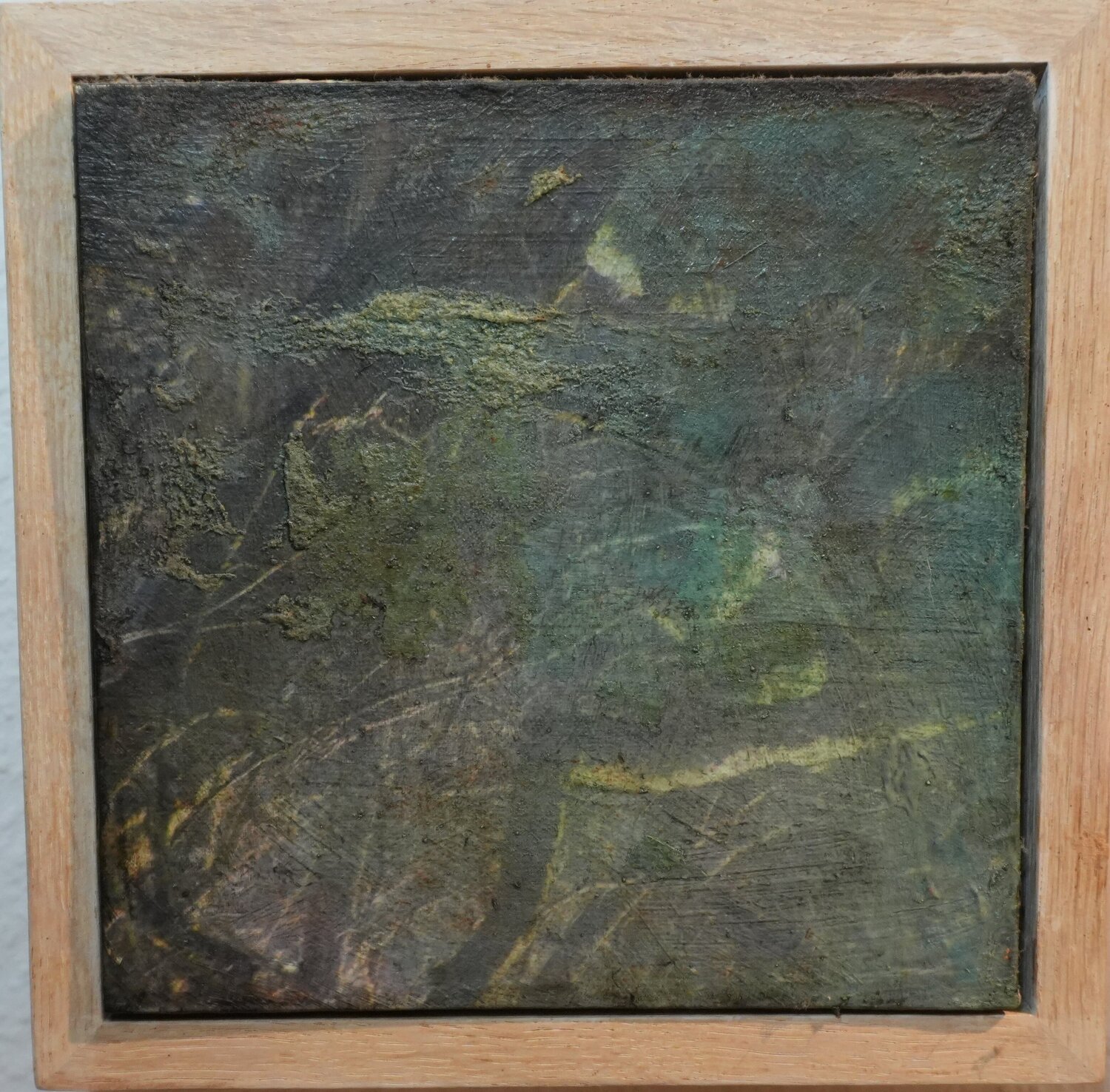 Wunderbaum Veronika Staat - Bachmann