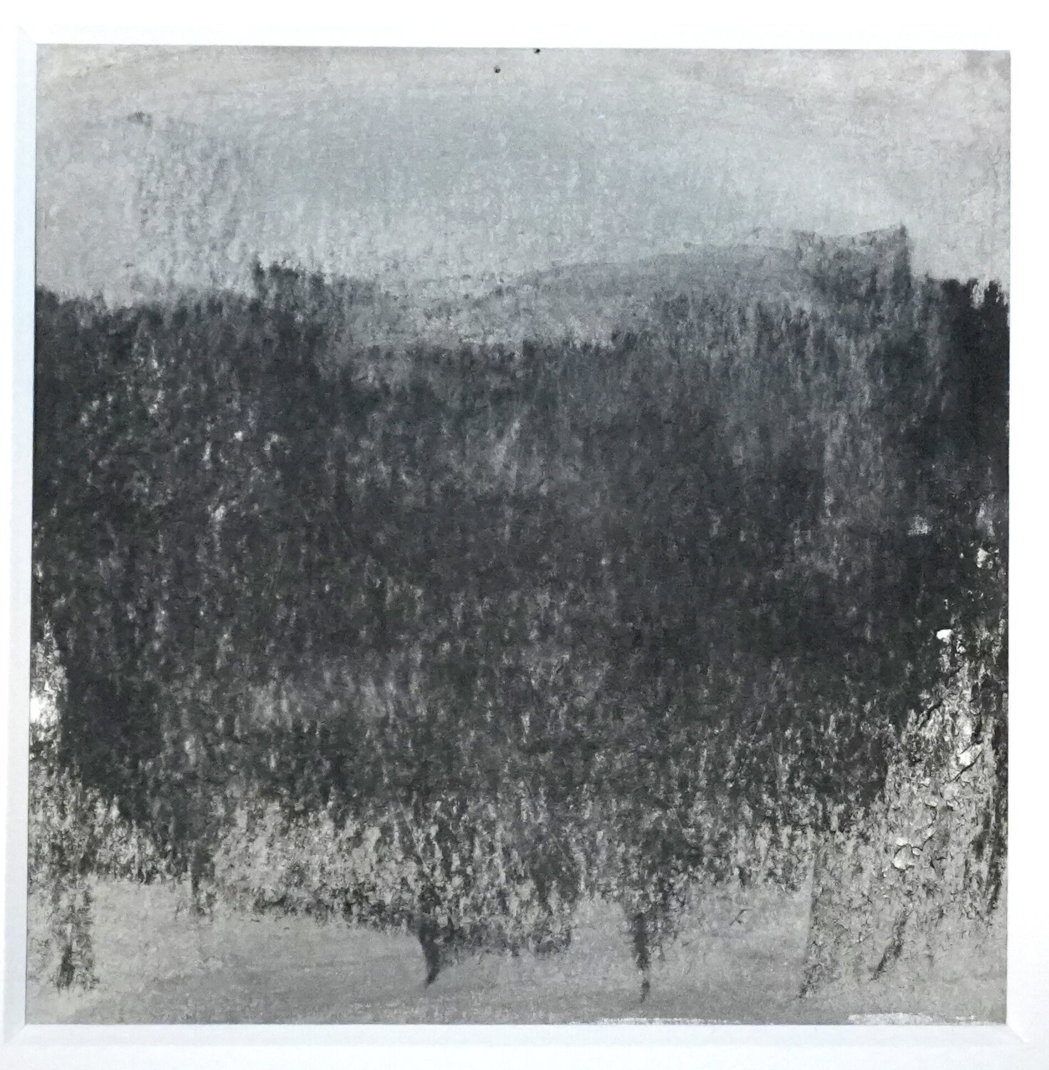 Aussicht Veronika Staat - Bachmann