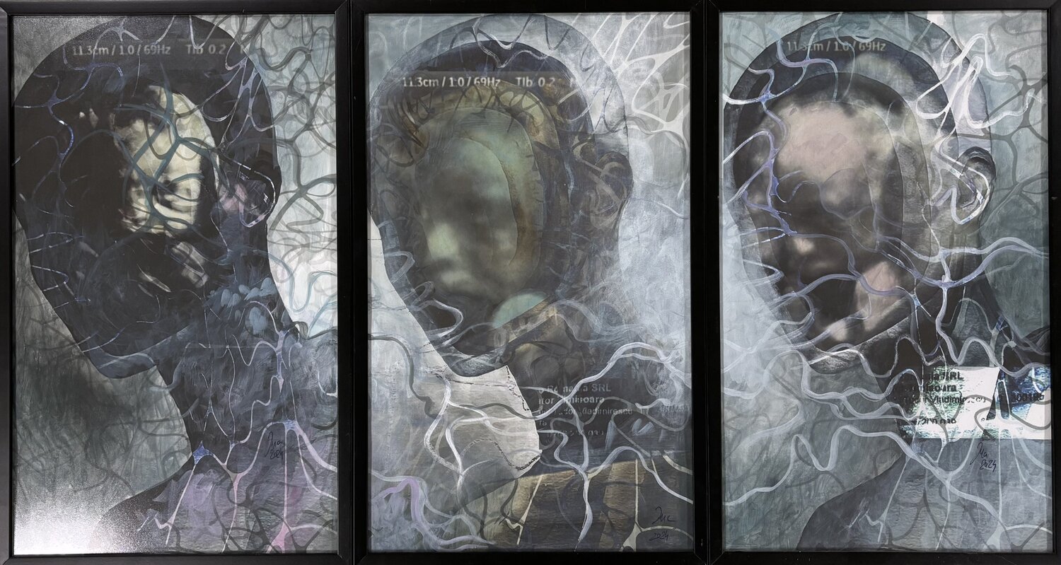Introspection I II and III Ina Pricop Arad