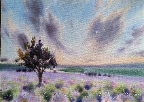 Lavenders horizon Tomas Bajorunas