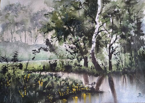 Lonely birch van Tomas Bajorunas, Schilderij te koop op Singulart