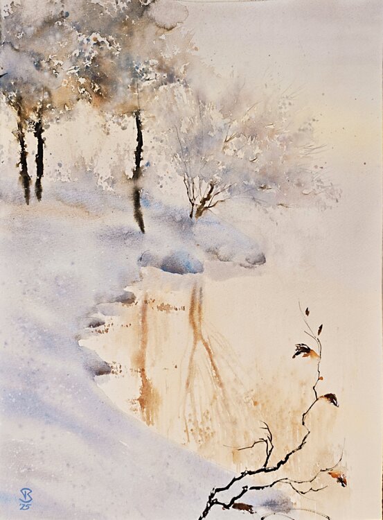 Winter softness Tomas Bajorunas