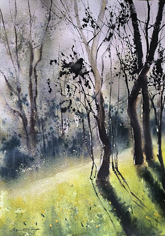 Through the branches Tomas Bajorunas
