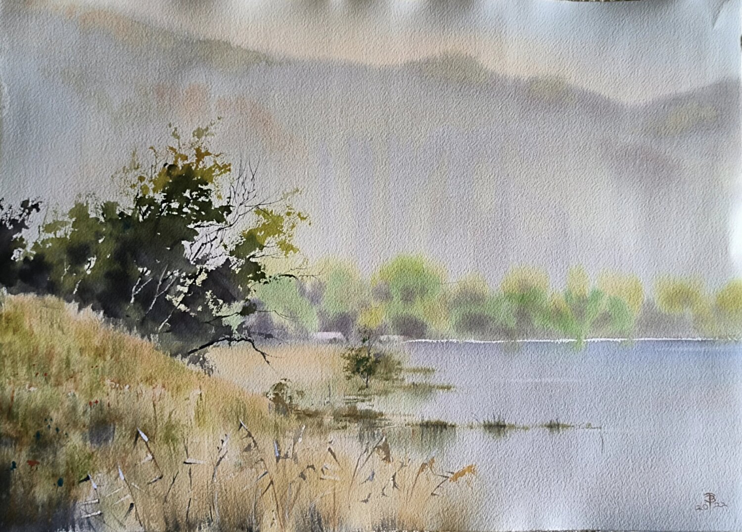 Summer of quiet Tomas Bajorunas