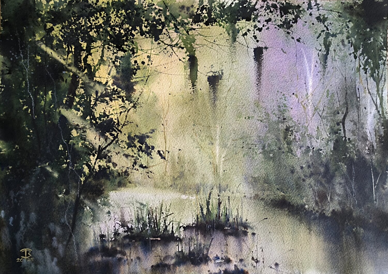 Natures conversation Tomas Bajorunas