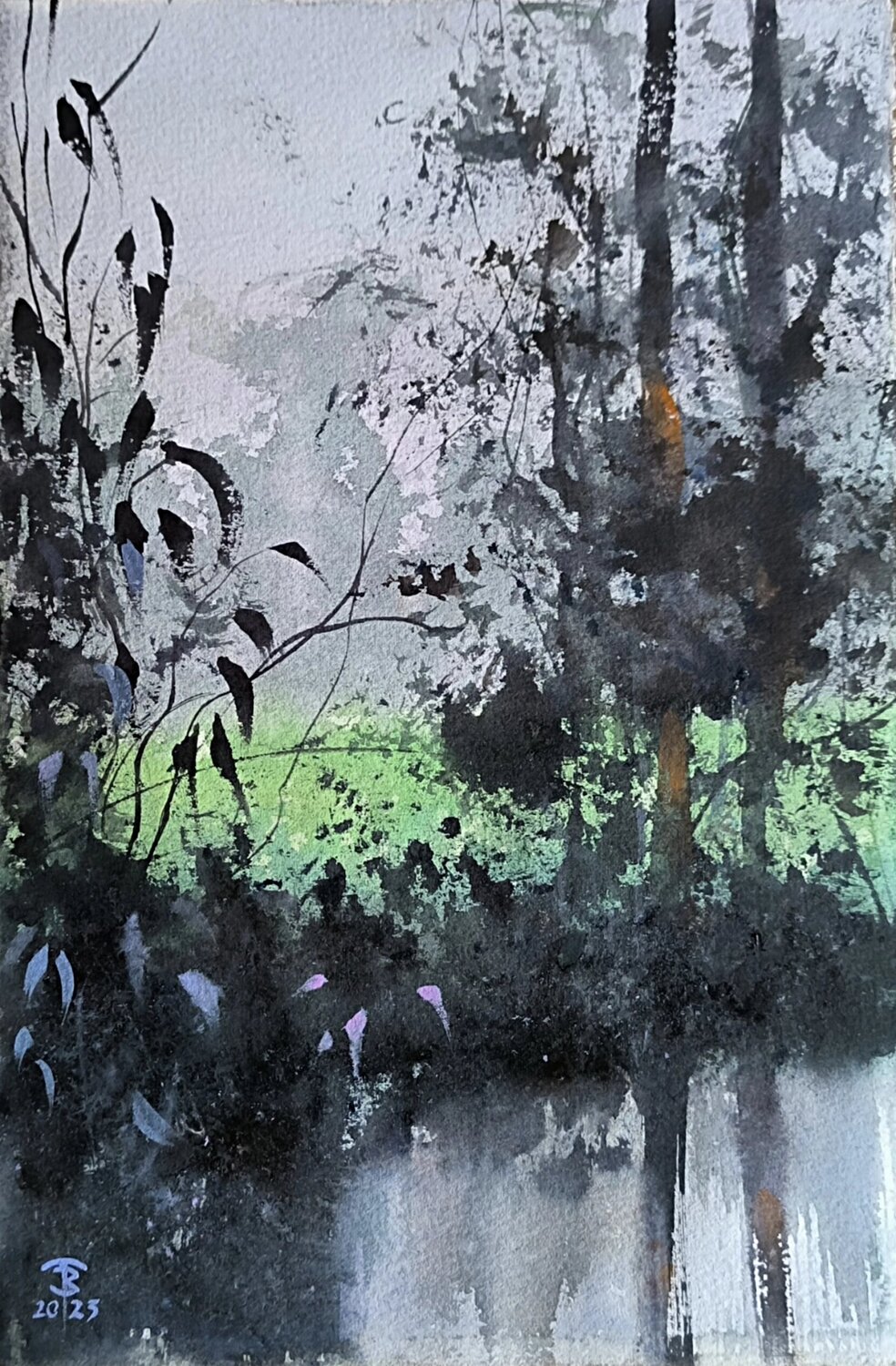 After the rain Tomas Bajorunas