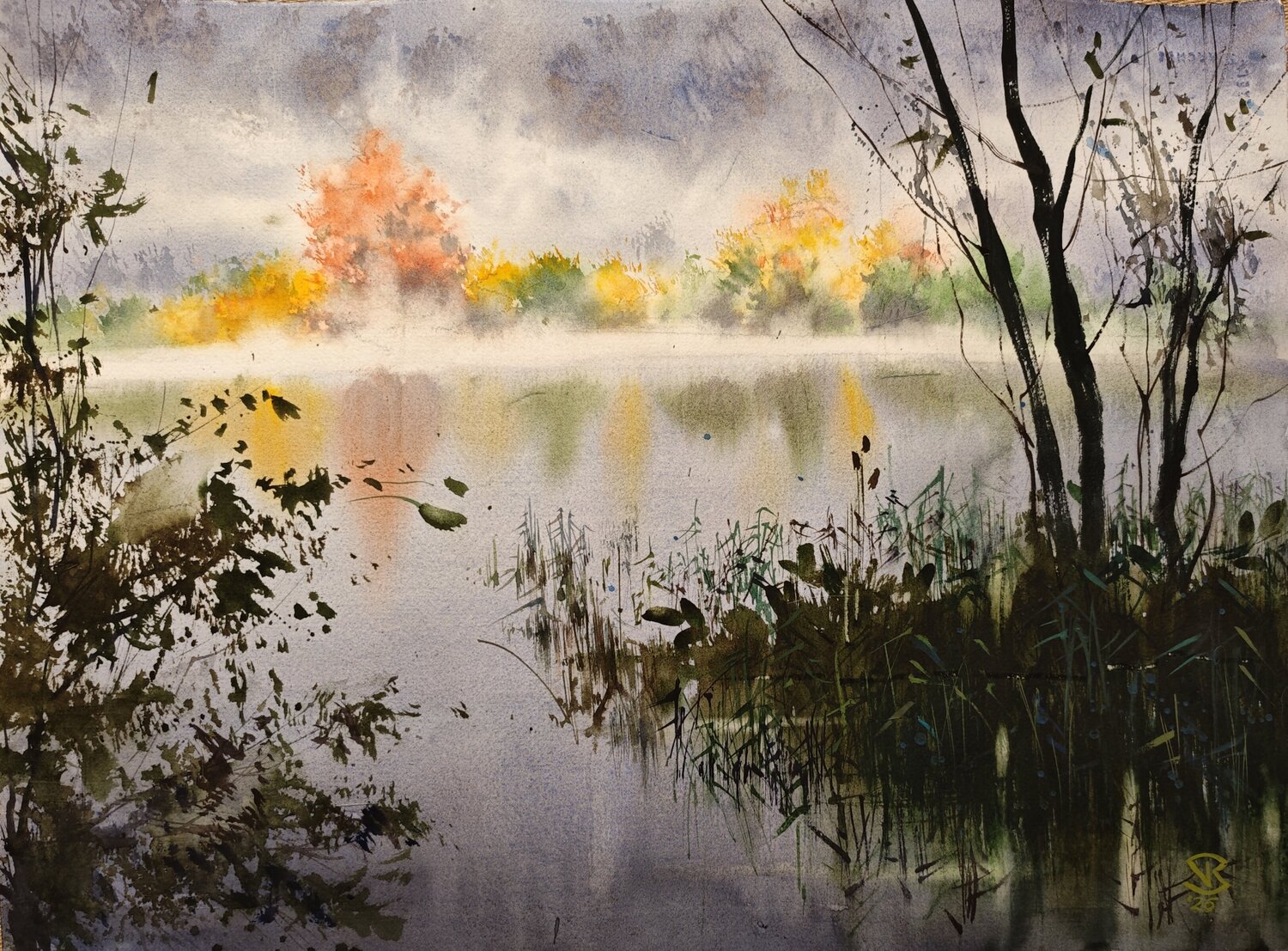 Autumn's soft hues Tomas Bajorunas