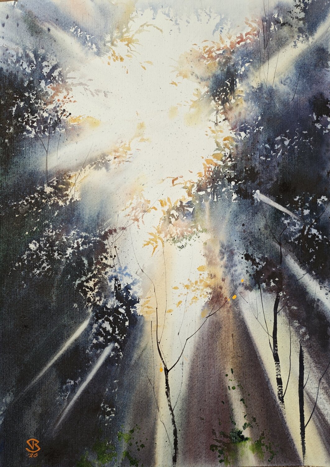 Suns dance Tomas Bajorunas