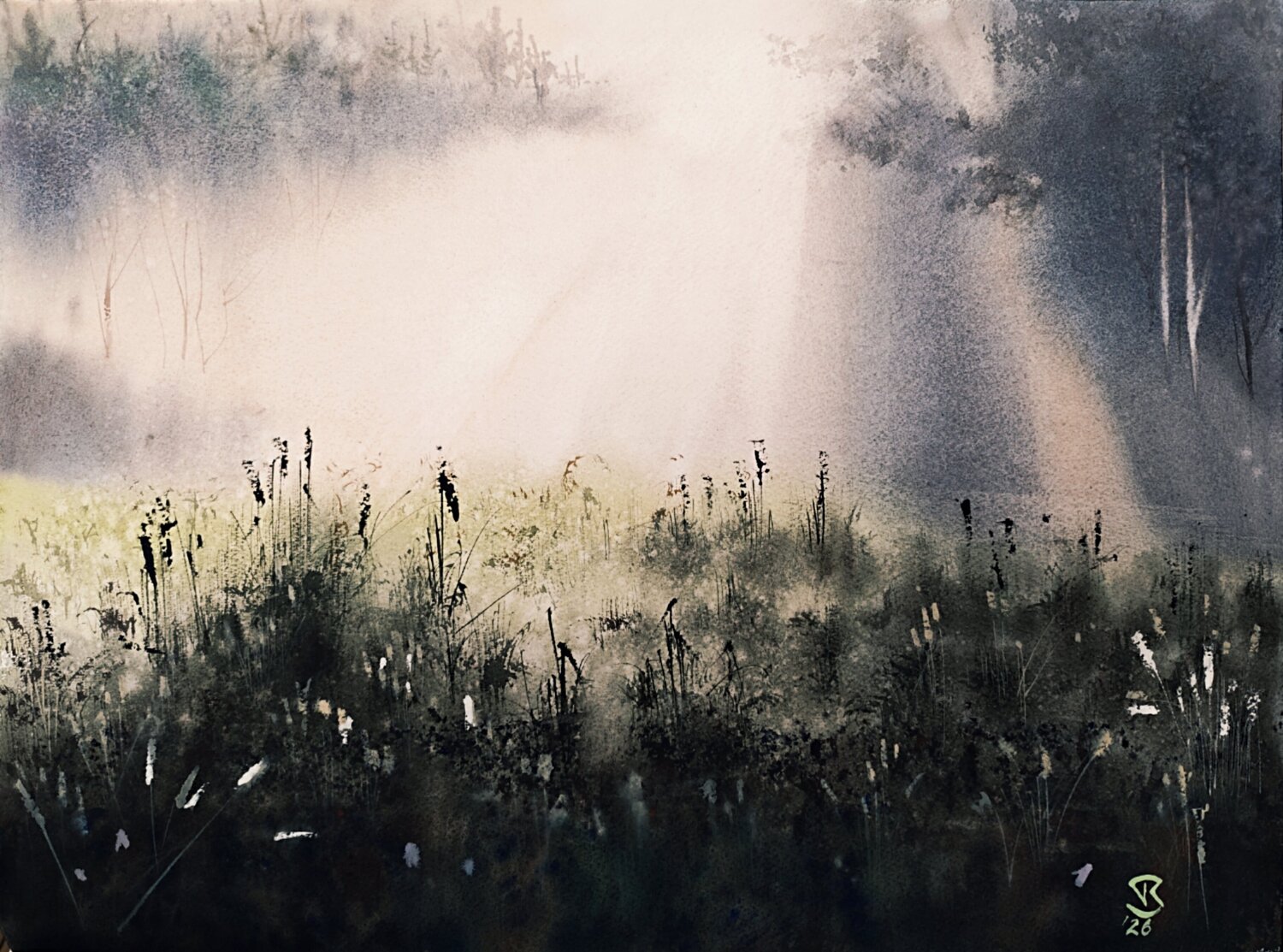 Natures eye Tomas Bajorunas