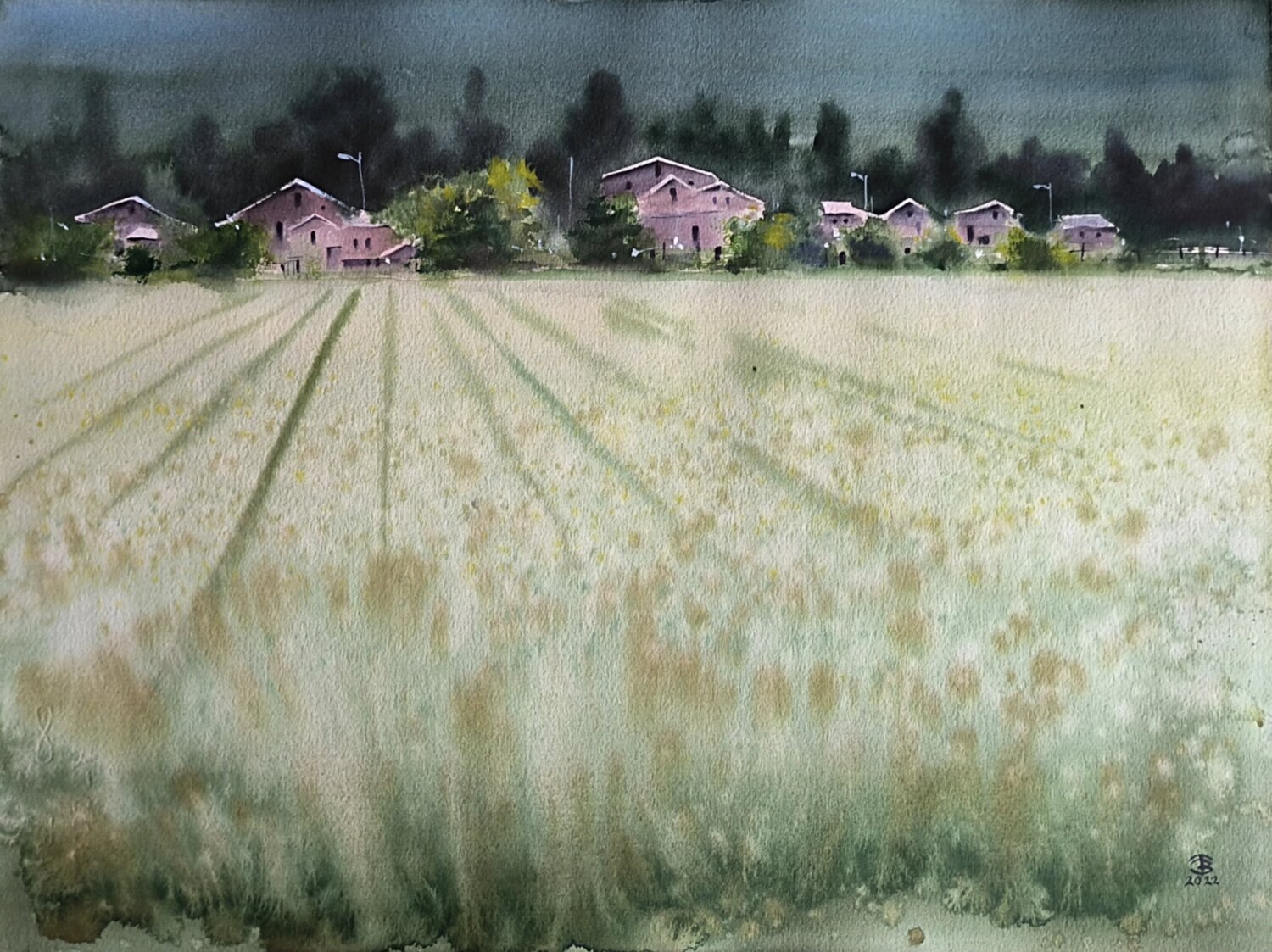 Resting in the sun Tomas Bajorunas