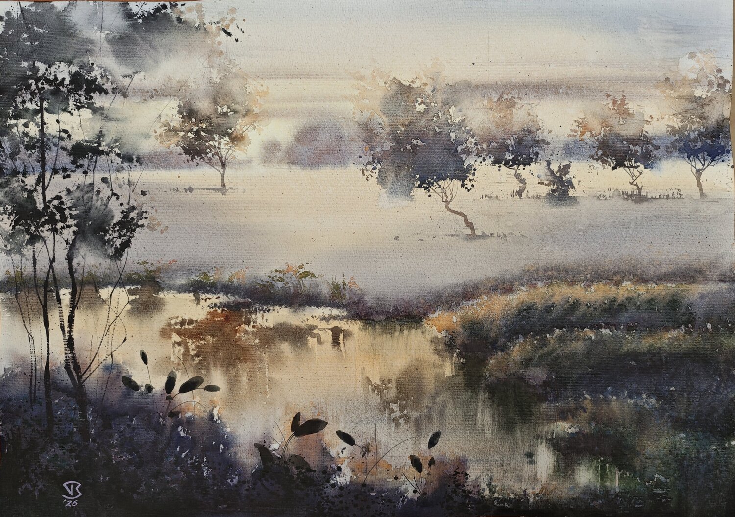 Fields warmth Tomas Bajorunas