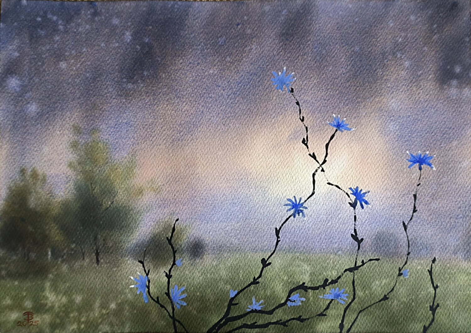Foggy suns smile Tomas Bajorunas