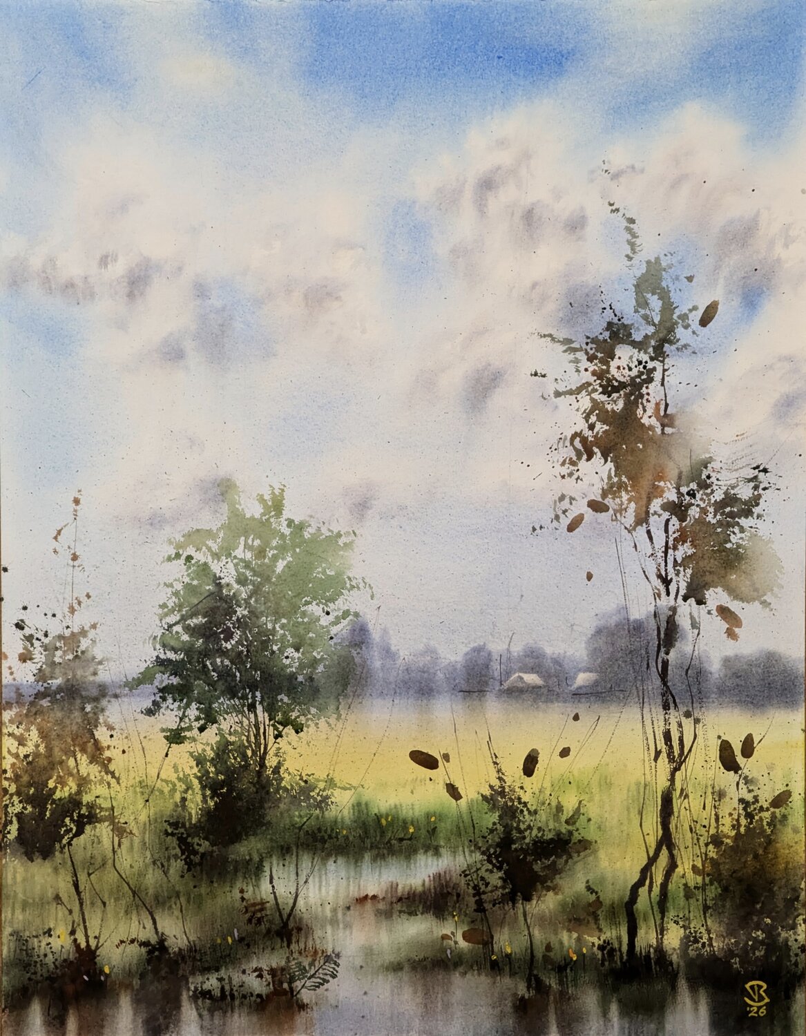 Country summers vibe Tomas Bajorunas