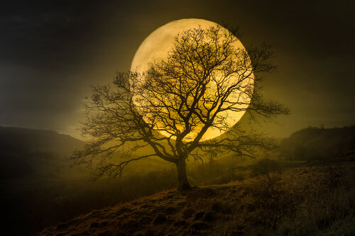 Harvest Moon II von Harv Greenberg, Fotografie kaufen auf Singulart