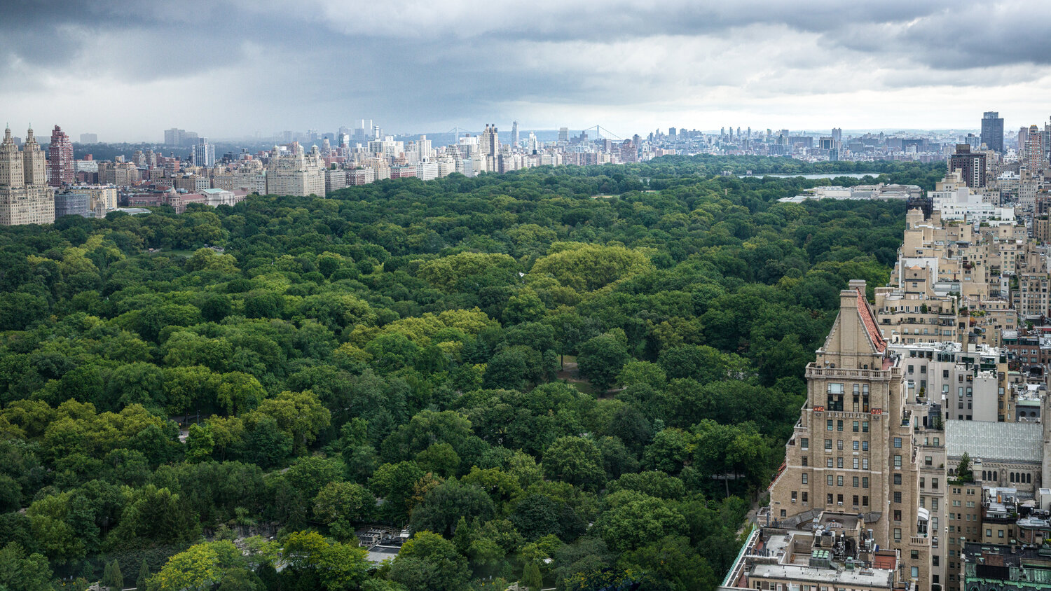New York Oasis Harv Greenberg