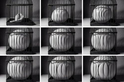 "Crecer" by Mikel Martínez, Photography for Sale on Singulart