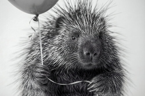 "Feliz cumpleaños" by Mikel Martínez, Photography for Sale on Singulart