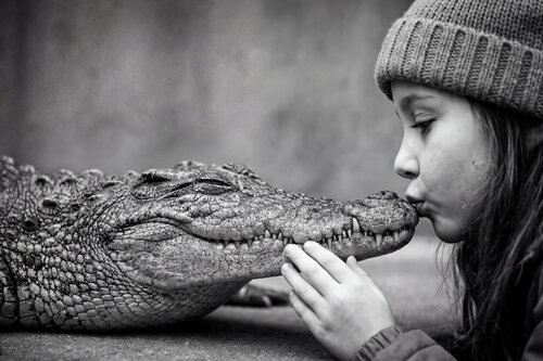 "el beso" van Mikel Martínez, Fotografie te koop op Singulart