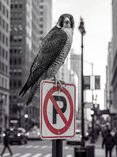 "Parking" von Mikel Martínez, Fotografie kaufen auf Singulart