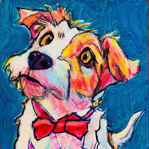 playful pup with bow tie Frankie Duru