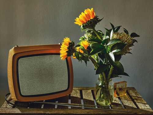 Sunflowers de Francesco Majo, Fotografía a la venta en Singulart