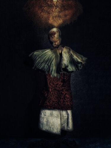 Fallen angel par Francesco Majo, Photographie en vente sur Singulart