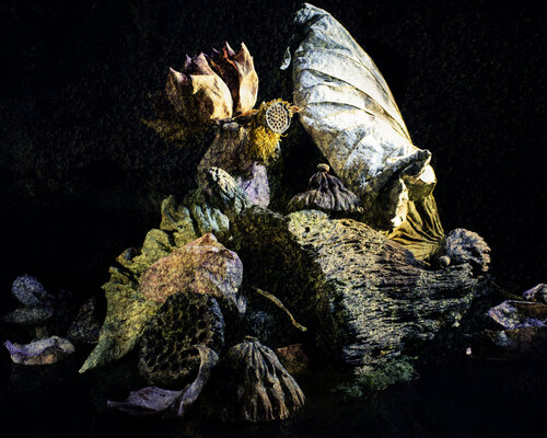 Reborn di Francesco Majo, Fotografia in vendita su Singulart