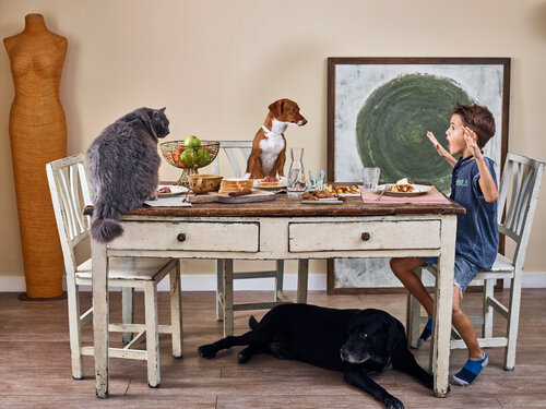 The table de Francesco Majo, Fotografía a la venta en Singulart