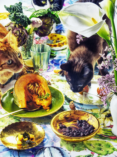 Lunchtime de Francesco Majo, Fotografía a la venta en Singulart