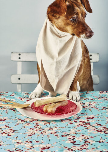 the bone de Francesco Majo, Fotografía a la venta en Singulart